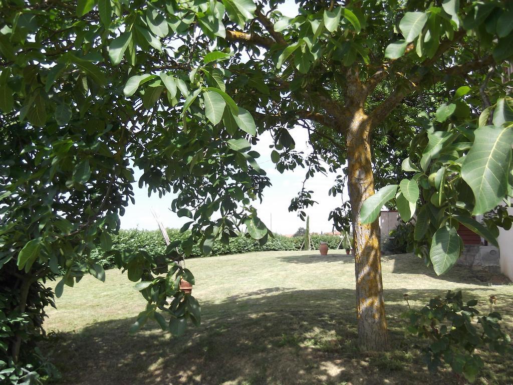 Agriturismo Le Caselle Cerbaia